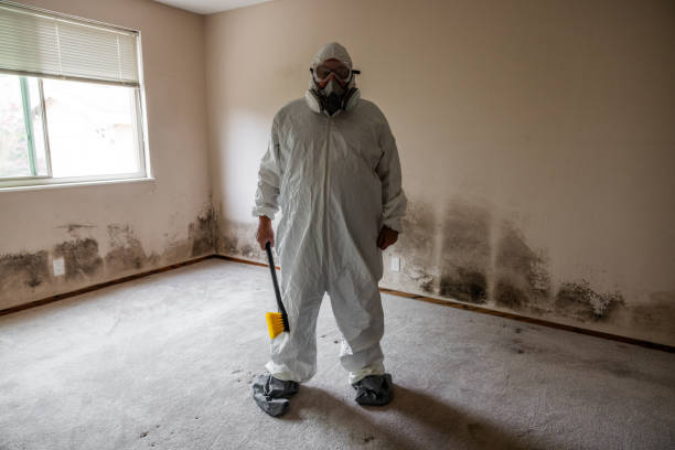 Mold Remediation for Rental Properties